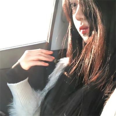 声生不息.大湾区季封面