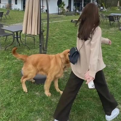 铁手人封面
