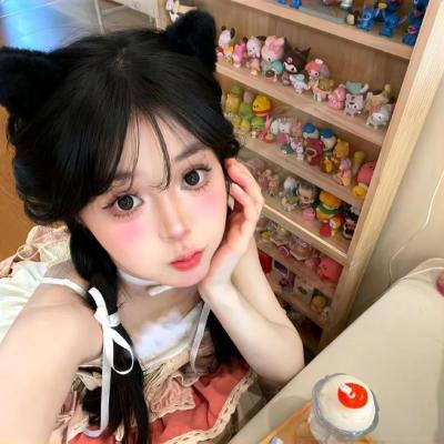 双珠凤封面